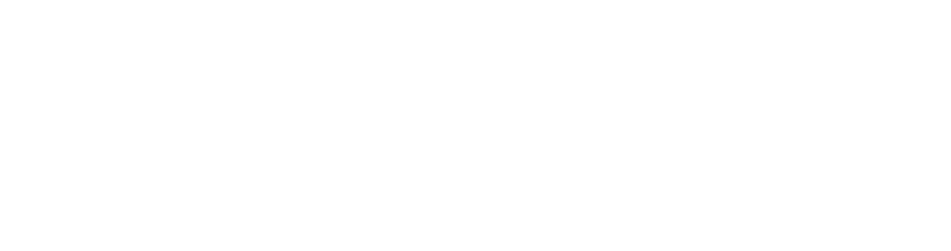 Adobe Gold Solutions Partner